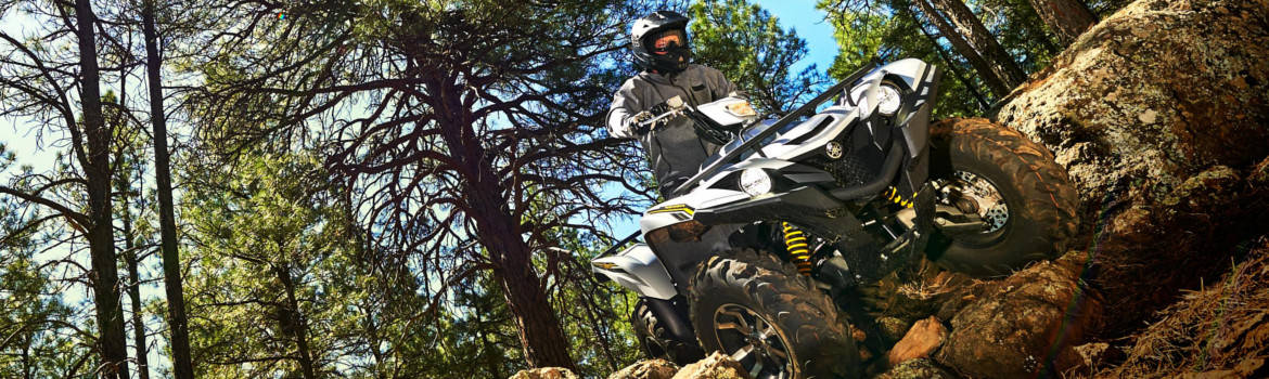 2017 Yamaha Grizzly for sale in Full Throttle Powersports, Lowell, North Carolina
